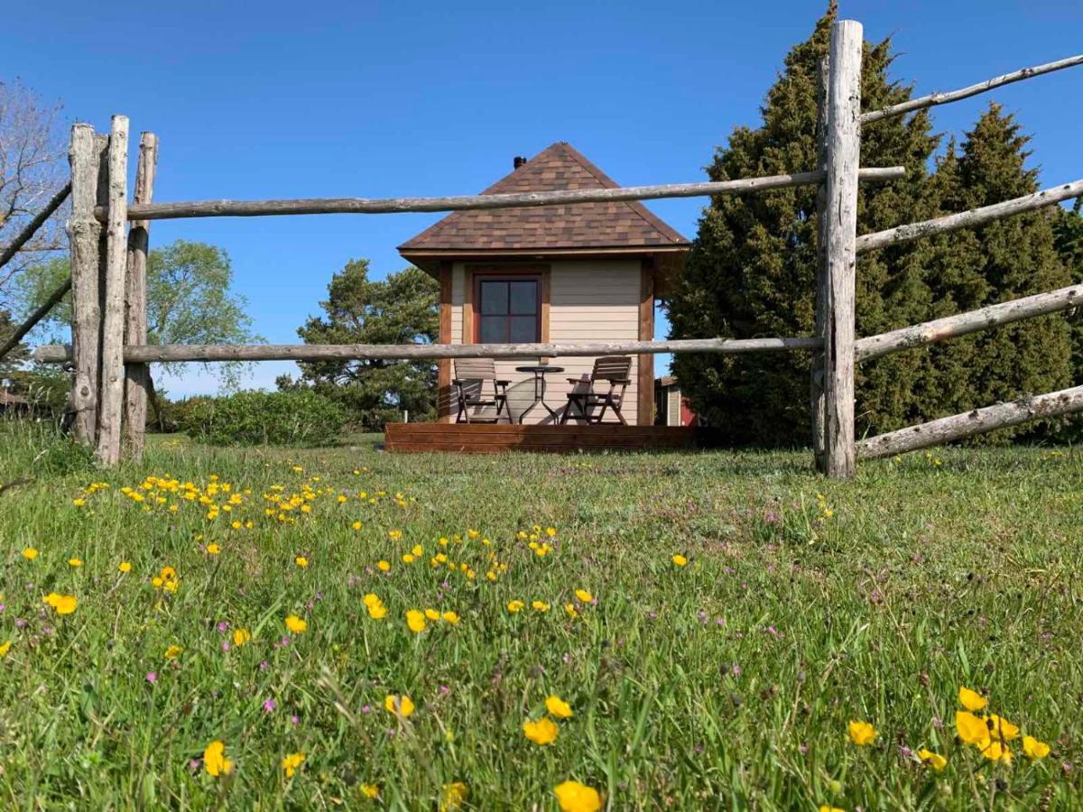 Muha Beach Holiday Home Riksu Dış mekan fotoğraf